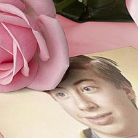 Photo effect - Delicate rose on Valentines Day