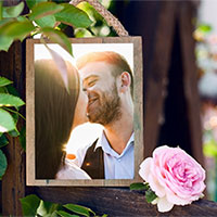 Photo effect - Photo among the rosebush