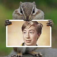 Photo effect - Rodent eating your photo