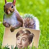 Photo effect - Squirrel on the green grass