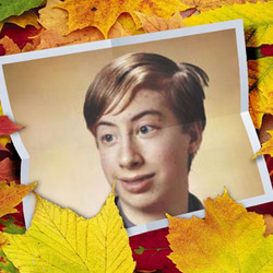 Photo effect - Autumnal leaves in the garden