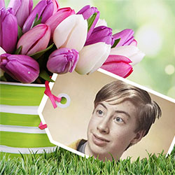 Photo effect - Beautiful tulips for you