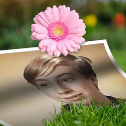 Photo effect - On the grass under the flower