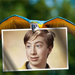 Photo effect - Parrot flying with a photo