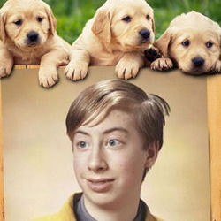 Photo effect - Three cute puppies