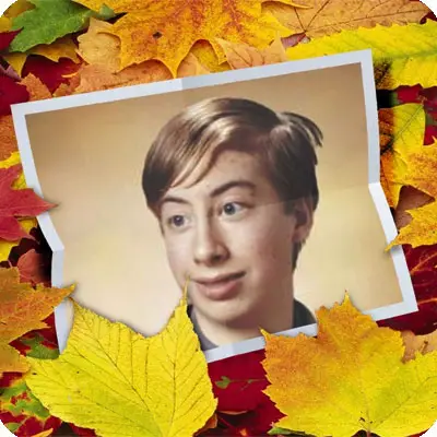 Photo effect - Autumnal leaves in the garden