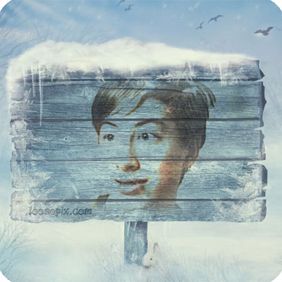 Photo effect - Board frozen in ice in winter forest
