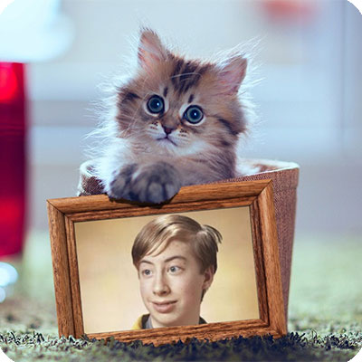 Photo effect - Such a cute kitten