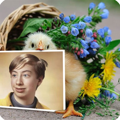 Photo effect - Tiny chick with a basket of flowers